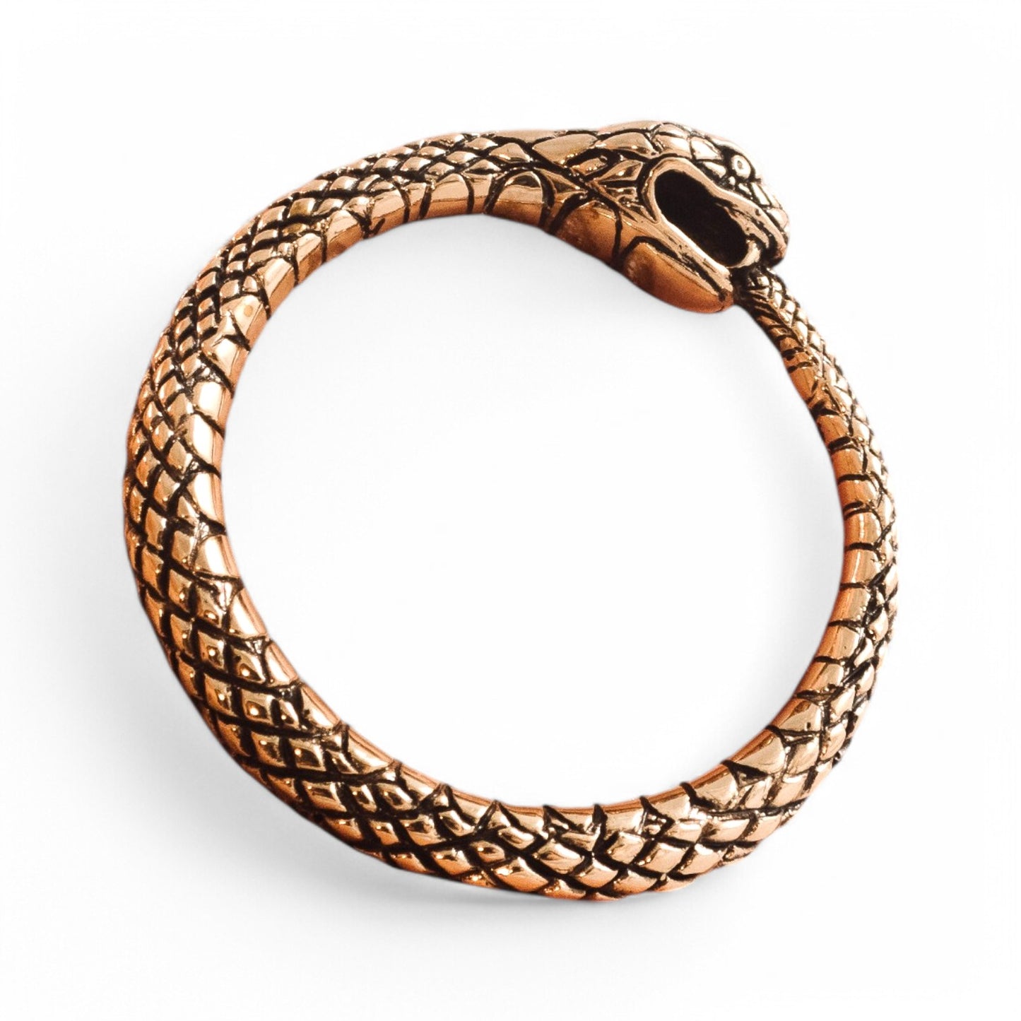 Ouroboros Bronze Pendant – PK004b