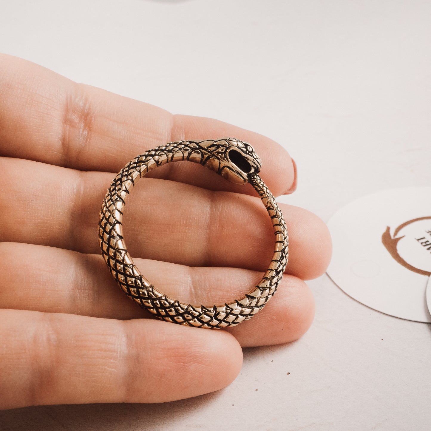 Ouroboros Bronze Pendant – PK004b