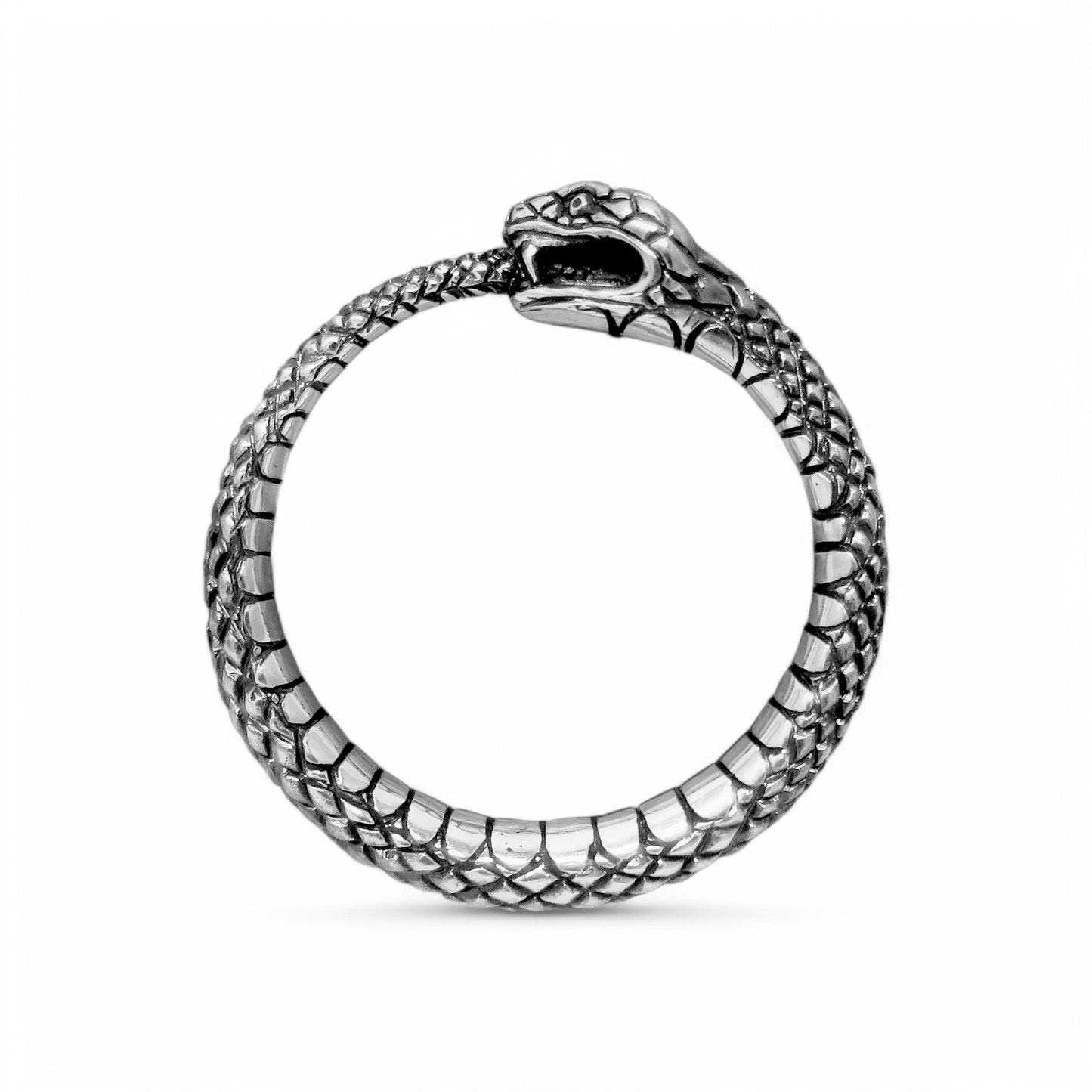 Ouroboros Sterling Silver Pendant – PK004s