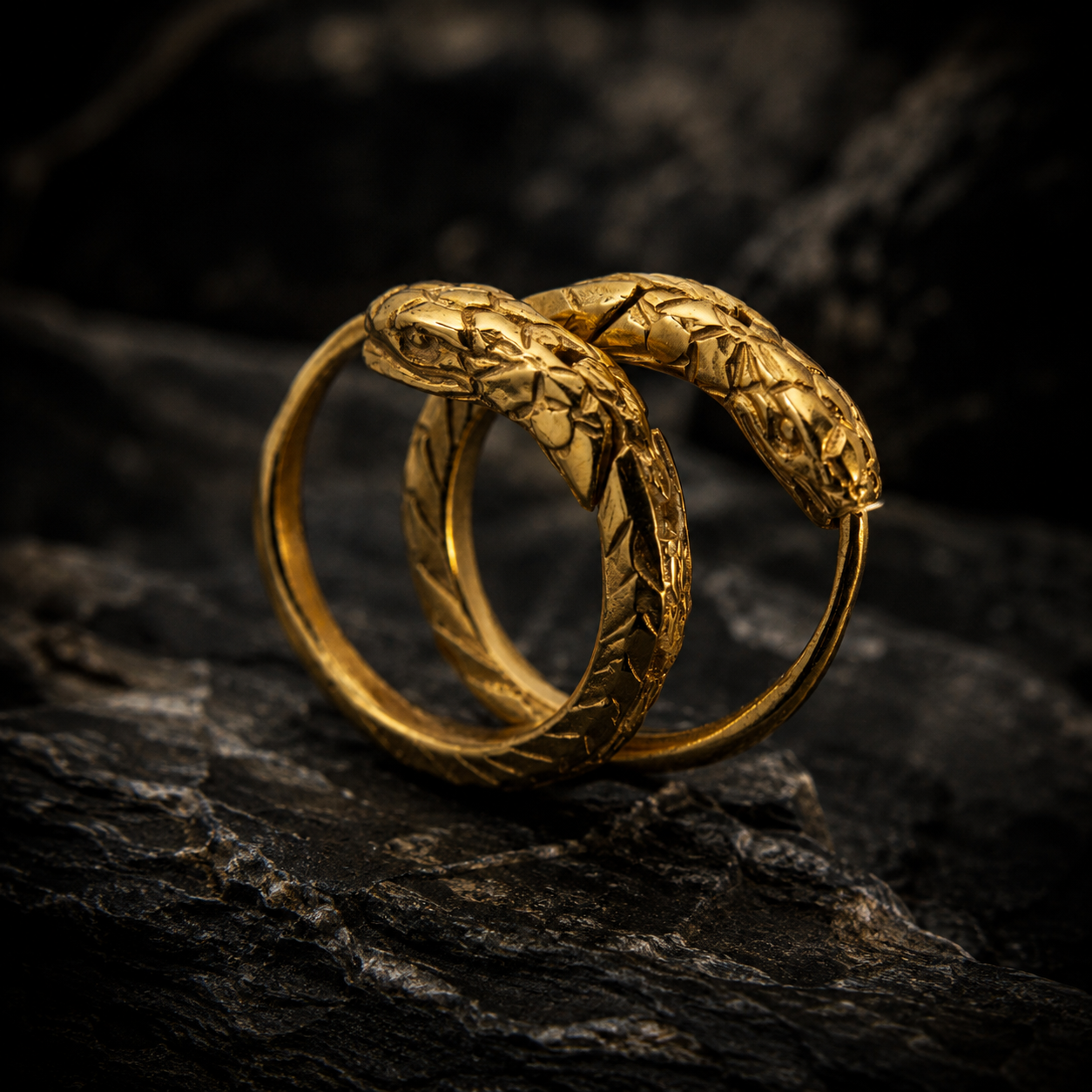 Ouroboros earrings