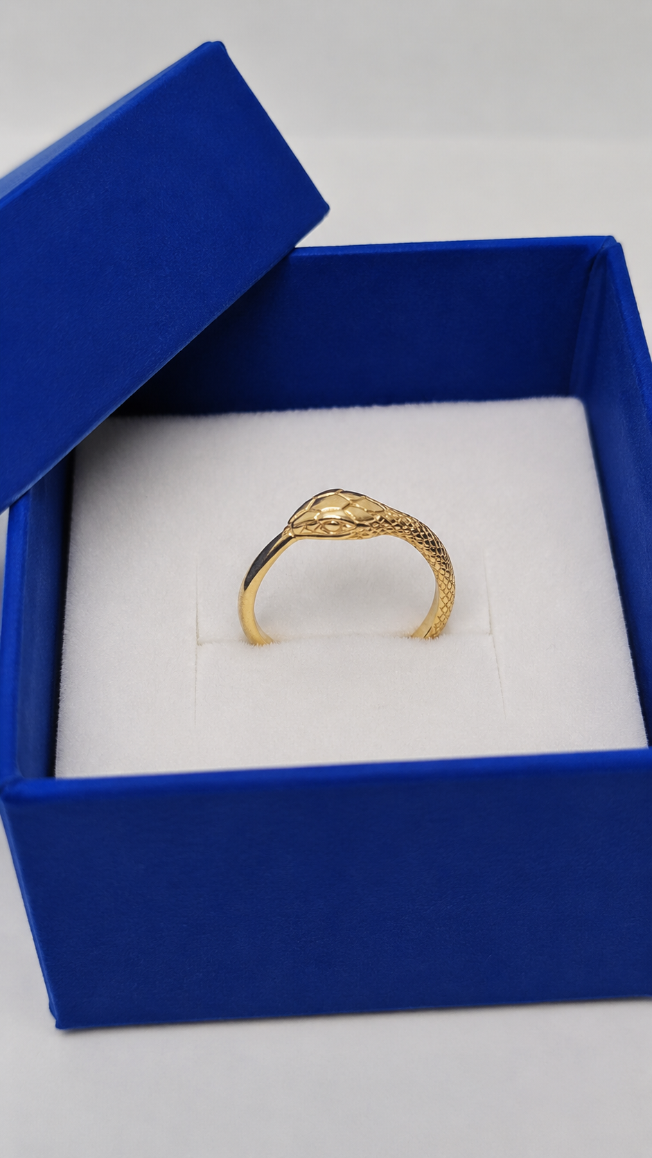 Ouroboros Gold plated Sterling Silver Ring unisex unique design RK004spg