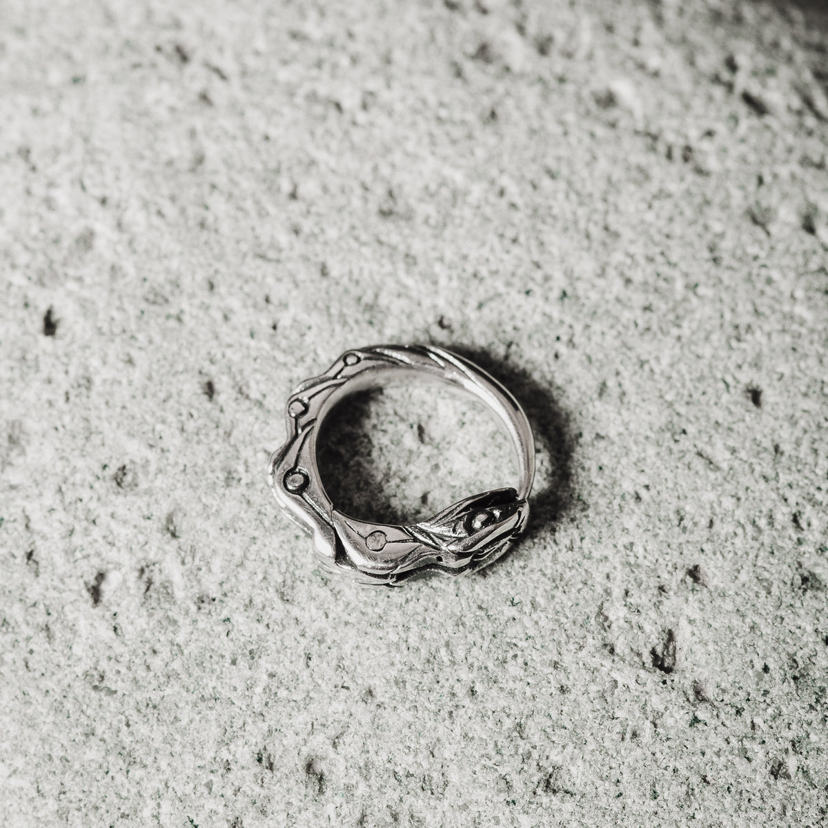 Cartilage earring ouroboros sterling silver
