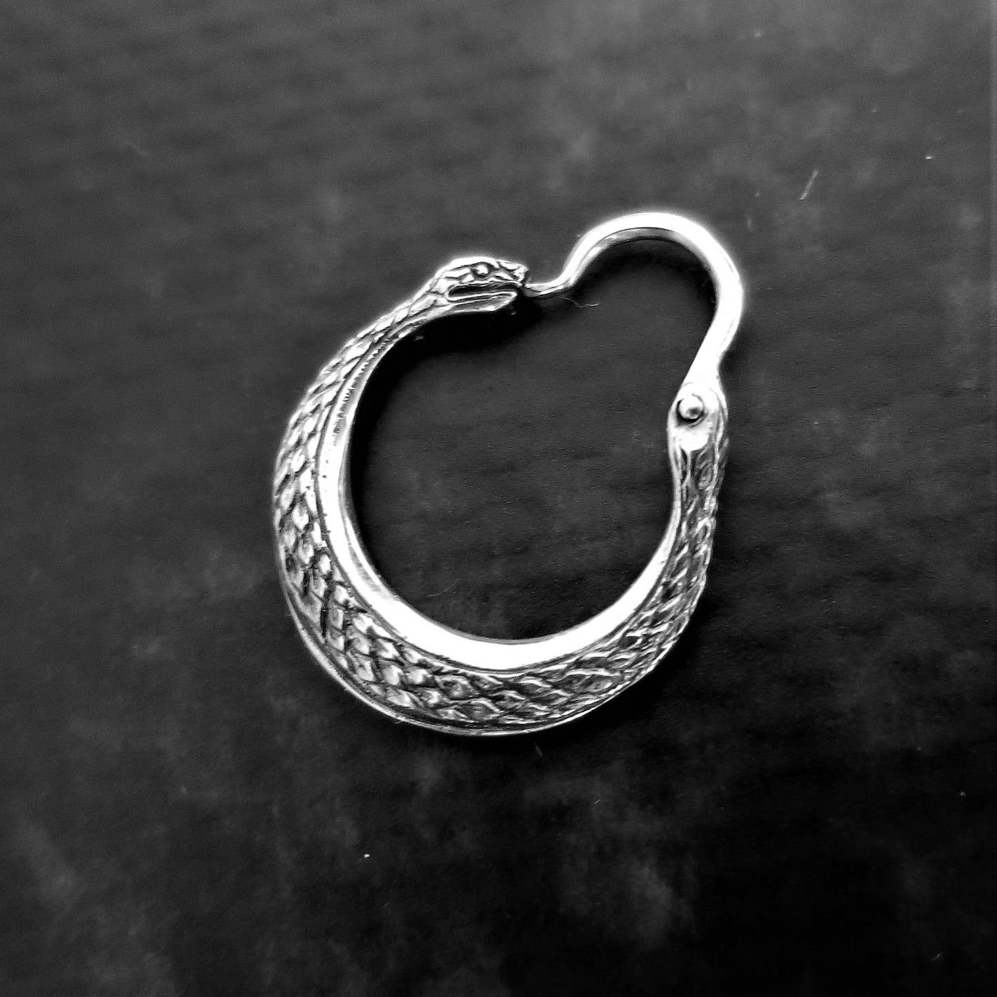 Silver snake-shaped earring on a dark background
