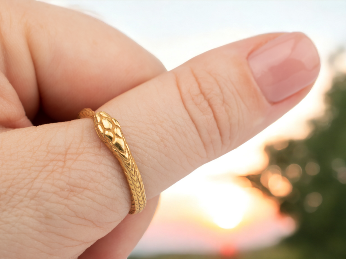 Ouroboros ring handmade RK001B